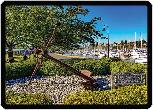 ALPHA+V3 website design, hosting, and WordPress maintenance in Bellingham