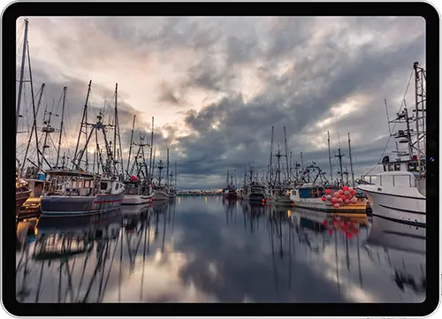 ALPHA+V3 WordPress web design, hosting, and maintenance in Courtenay