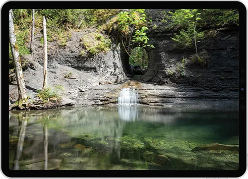 ALPHA+V3 WordPress web design, hosting, and maintenance in Port Alberni