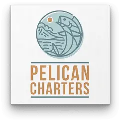 Pelican Charters logo design