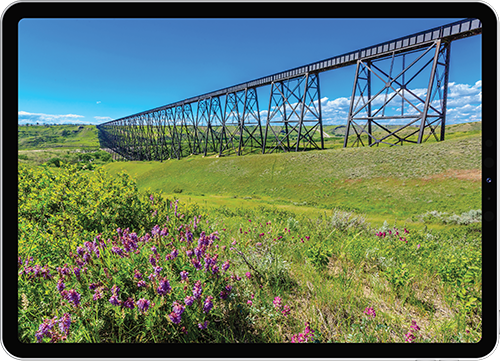 ALPHA+v3 WordPress web design, hosting, and maintenance